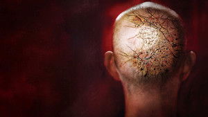 Пораженный (фильм, 2013)