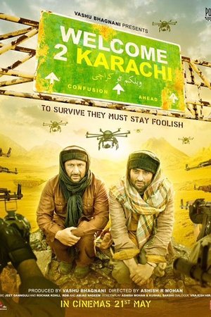 Добро пожаловать в Карачи (фильм, 2015)