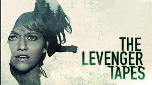 Записи Левенджера (фильм, 2013)