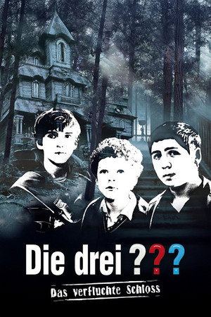 Три сыщика и тайна замка ужасов (фильм, 2009)