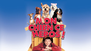 Лохматый спецназ (фильм, 2003)