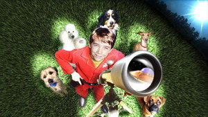 Лохматый спецназ (фильм, 2003)