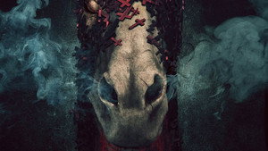 Лихорадка (фильм, 2014)