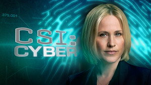 CSI: Киберпространство (сериал, 2015)