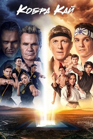 Кобра Кай (сериал, 2018)