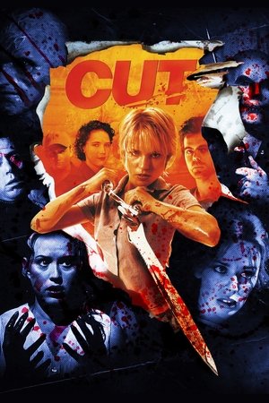 Режиссёрская версия (фильм, 2000)