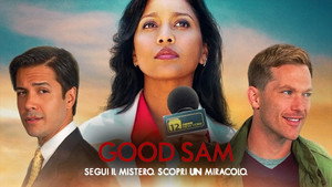 В поисках доброго самаритянина (фильм, 2019)