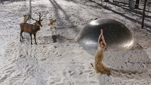 Лицо (фильм, 2009)