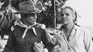 40 винтовок на перевале апачей (фильм, 1967)