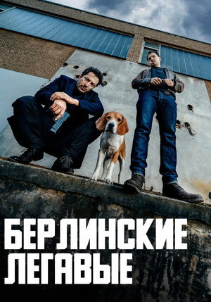 Берлинские легавые (сериал, 2018)