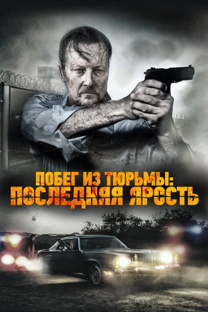 Последняя ярость (фильм, 2017)
