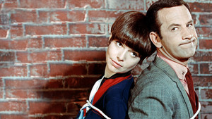 Напряги извилины (сериал, 1965)