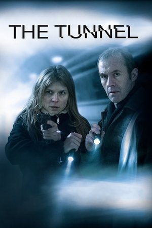 Туннель (сериал, 2013)
