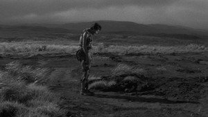 Полевые огни (фильм, 1959)