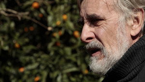Мандарины (фильм, 2013)