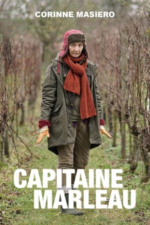 Капитан Марло (сериал, 2015)