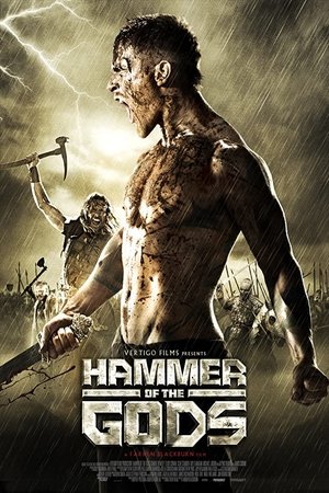 Молот богов (фильм, 2013)