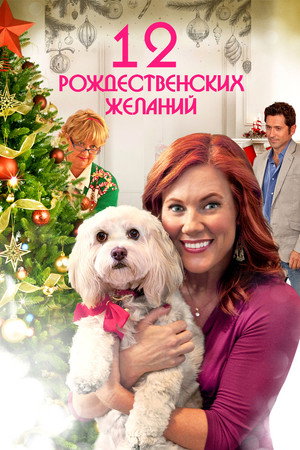 12 Рождественских желаний (фильм, 2011)