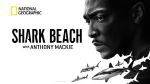 Акулий пляж с Энтони Маки: Мексиканский залив (фильм, 2024)