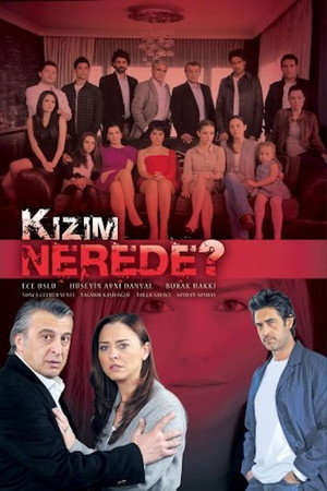 Где моя дочь? (сериал, 2010)