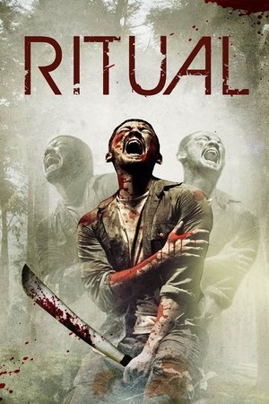 Аномальный вид (фильм, 2012)