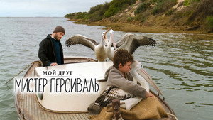 Мой друг мистер Персиваль (фильм, 2019)