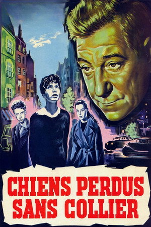 Бродячие собаки без ошейников (фильм, 1955)