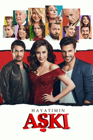 Любовь всей жизни (сериал, 2016)