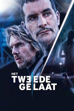Двойное лицо (фильм, 2017)