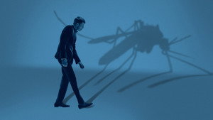 Государство комаров (фильм, 2020)