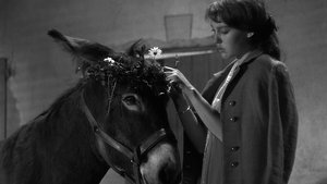 Наудачу, Бальтазар (фильм, 1966)