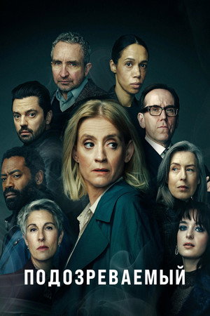 Подозреваемый (сериал, 2022)
