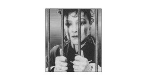 Зед и два нуля (фильм, 1985)