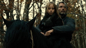 Благородный грабитель (фильм, 2013)