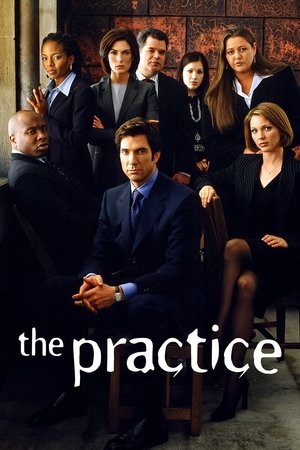 Практика (сериал, 1997)