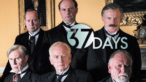 37 дней (сериал, 2014)