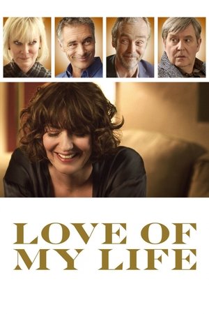 Любовь всей моей жизни (фильм, 2017)