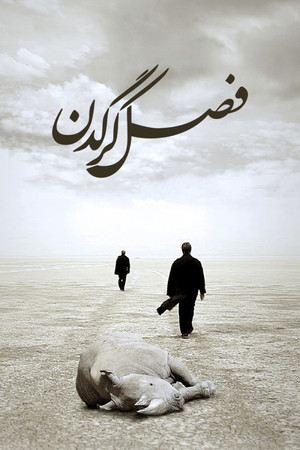 Сезон носорогов (фильм, 2012)