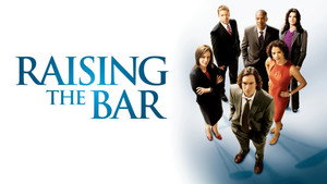 Адвокатская практика (сериал, 2008)