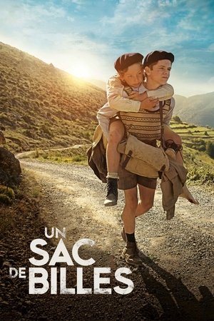 Мешок мрамора (фильм, 2016)
