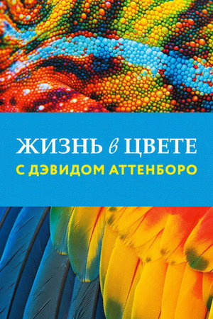 Жизнь в цвете с Дэвидом Аттенборо (сериал, 2021)