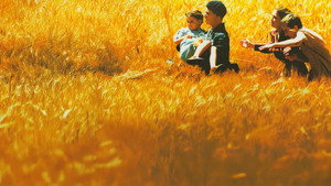 Заблудившиеся (фильм, 2003)