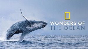 Чудеса океана (сериал, 2019)