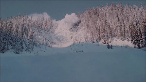 Ледяная дрожь (фильм, 2010)