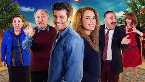 Кто из нас не любил? (сериал, 2016)