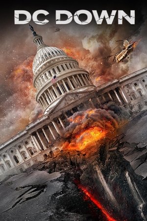 Падение Вашингтона (фильм, 2023)