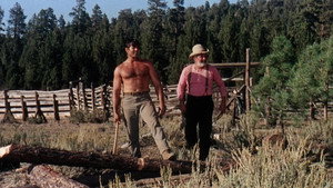 Ночь Гризли (фильм, 1966)