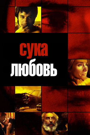 Сука-любовь (фильм, 2000)