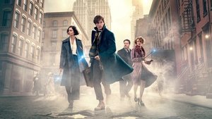 Фантастические твари и где они обитают (фильм, 2016)