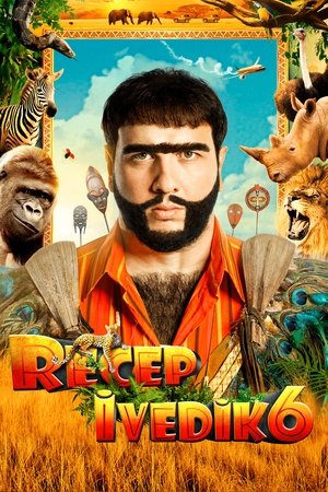 Реджеп Иведик 6 (фильм, 2019)